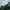 Nonactive