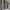 Wel