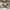 Yt