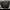 guess toothbag 