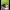 Air Jordan 1 x Clot