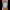 The Beekeper of Aleppo