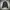 Napoleon Jacket