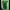 Ladies Wrap Dress - Green 