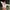 Y2K Coquette Fur coat Wanita white photo 2