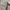 Japanese brand Streetwear Casual pants Pria tan photo 8