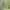 Japanese brand Vintage Streetwear Casual pants Pria green photo 8