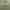 Japanese brand Vintage Streetwear Casual pants Pria green photo 7