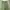 Japanese brand Streetwear Casual pants Pria green photo 6