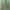 Japanese brand Streetwear Casual pants Pria green photo 4