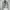 Neil Barrett Grunge Biker Denim jacket Pria white gray photo 1