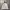Gorpcore Windbreaker Pria white photo 2