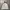 Gorpcore Windbreaker Pria White