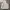Gorpcore Windbreaker Pria white photo 4