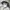 Gorpcore Windbreaker Pria white photo 3