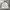 Gorpcore Windbreaker Pria white photo 1