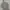 Hazzys Casual Polo shirt Pria gray photo 1