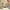 Polo Ralph Lauren Sportswear Casual Sweatshirt Pria Tan