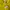 Nike Streetwear Sportswear Hoody Pria yellow photo 2