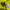 Nike Streetwear Sportswear Hoody Pria green photo 2