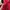 Attachment by Kazuyuki Kumagai Biker Indie Leather jacket Pria red photo 5