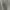 Hazzys Casual Polo shirt Pria gray photo 5