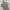 Hazzys Casual Polo shirt Pria gray photo 1