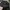 Gucci Coquette Casual Hat Wanita black photo 1