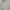 Casual Polo shirt Pria white photo 1
