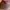 Tory Burch Y2K Luxury Shoulder bag Wanita pink photo 3