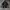 Adidas Y2K Casual Track jacket Pria white black photo 1