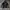 Adidas Y2K Casual Track Jacket Pria White Black