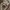 Converse chuck taylor all star low photo 2