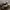 Converse chuck taylor all star low photo 1