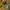 Nike Streetwear Sportswear Hoody Pria yellow photo 2