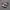nike jordan photo 1