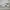 Visvim Vintage Grunge Sneakers Pria white gray photo 4