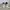 Visvim Vintage Grunge Sneakers Pria white gray photo 3