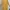 Minimalist Casual Casual dress Wanita yellow photo 1