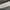 Number Nine Y2K Indie Belt Pria white photo 6