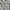 ZARA Y2K Lolita Blouse Wanita white photo 3