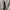 ZARA Vintage Casual Sweatshirt Wanita cream photo 3