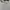 ZARA Vintage Casual Sweatshirt Wanita cream photo 2
