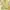 New Balance Minimalist Casual T-shirt Wanita yellow photo 1