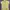 New Balance Minimalist Casual T-shirt Wanita yellow photo 2