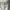 Vintage Y2K Crop top Wanita white blue photo 2