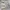 Skater Sportswear Sweater Wanita cream photo 1