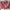 Jims Honey Coquette Casual Handbag Wanita Red