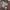 Chloé Luxury Handbag Wanita brown photo 3