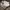 Diadora Streetwear Sportswear Sneakers Wanita white photo 6